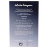 Subtil by Salvatore Ferragamo for Men - 3.4 oz EDT Spray